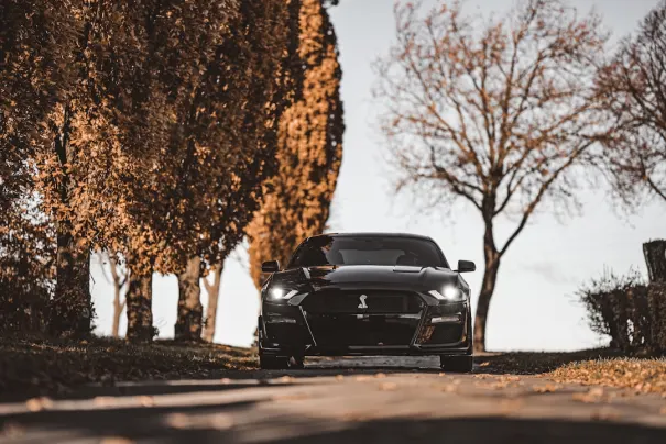 Fbet Casino Android/iOS aplikacija